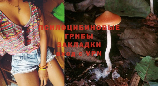 крисы Мегион