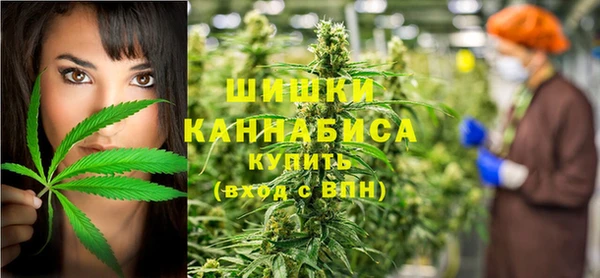 прущие грибы Лихославль