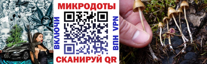 Псилоцибиновые грибы GOLDEN TEACHER  Шарья 